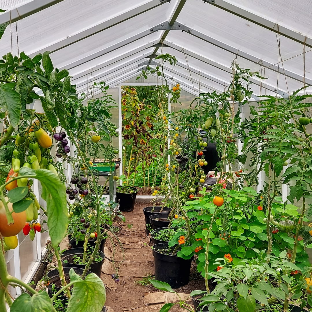 Szklarnia z Poliwęglanu 210×271 6m Ogrodowa - Trwała, Estetyczna i Praktyczna - obrazek 5